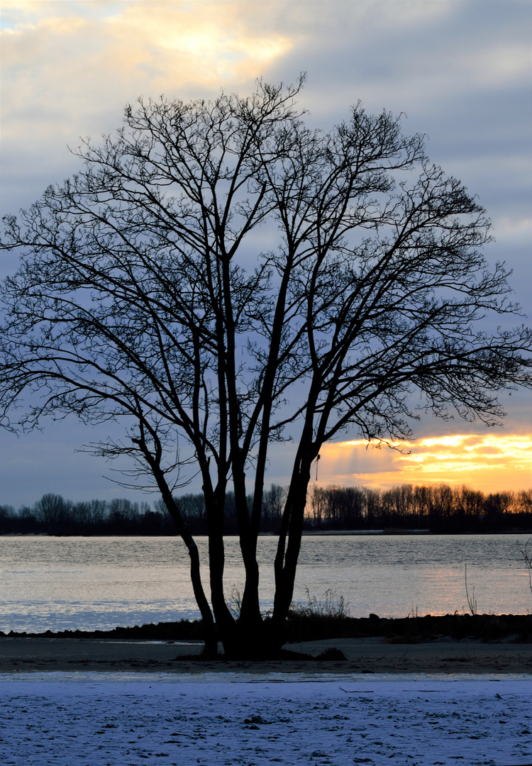 Wintermorgen an der Elbe