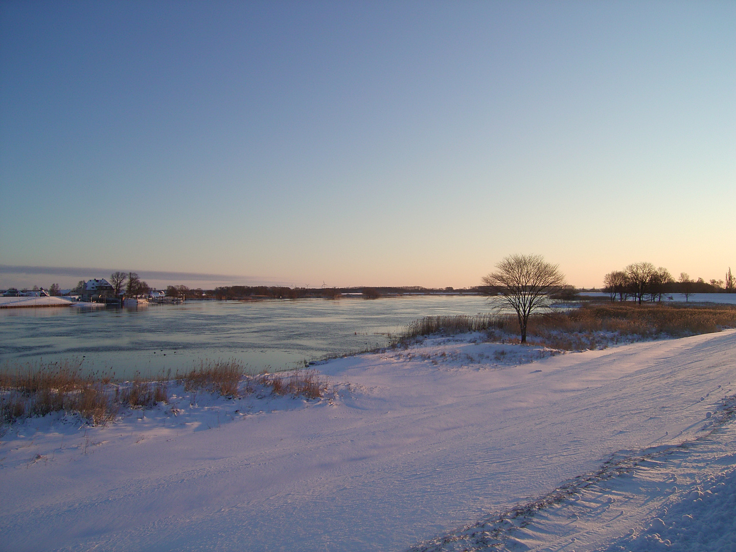 Wintermorgen an der Elbe bei Hoopte