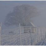 Wintermorgen an der Gertraudiskapelle