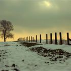 - Wintermorgen an der Koppel -