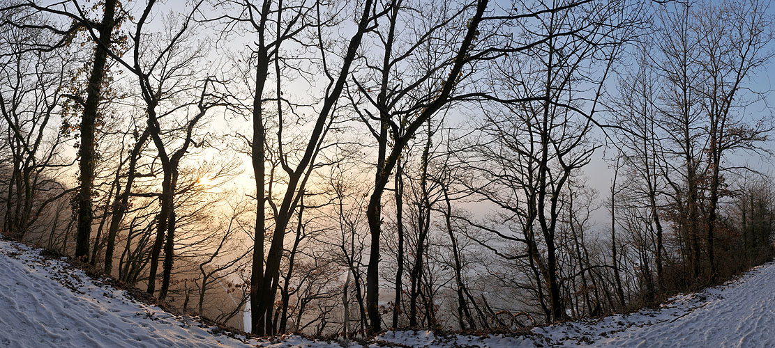 .. wintermorgen an der mosel ..