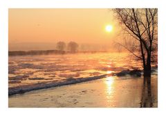 Wintermorgen an der Oder
