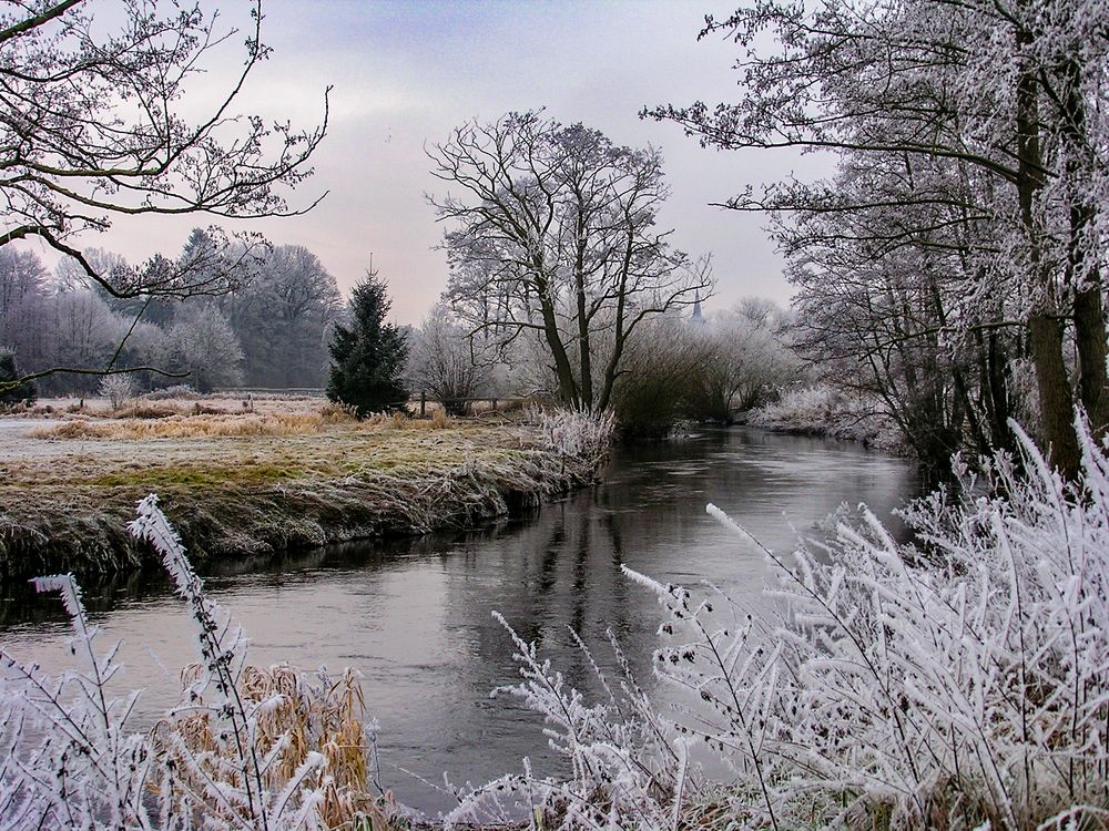 Wintermorgen an der Örtze 