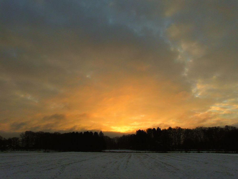 Wintermorgen an der Örtze 