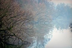 Wintermorgen an der Ruhr