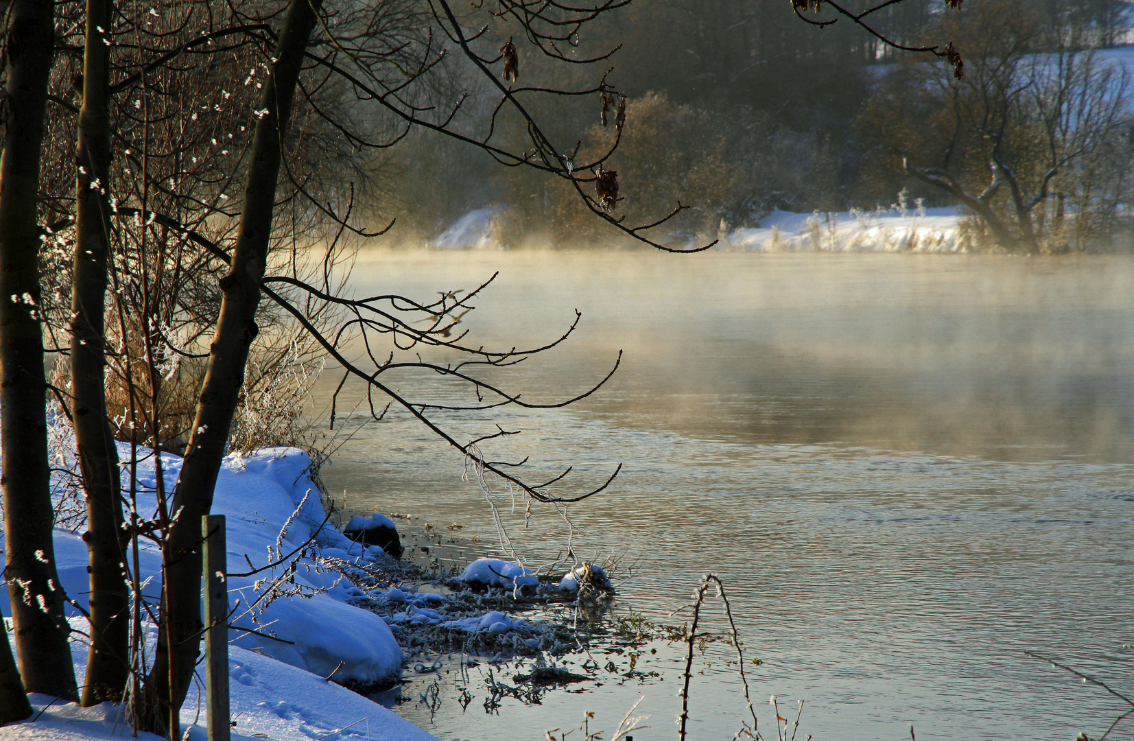 Wintermorgen an der Saale, Sachsen-Anhalt