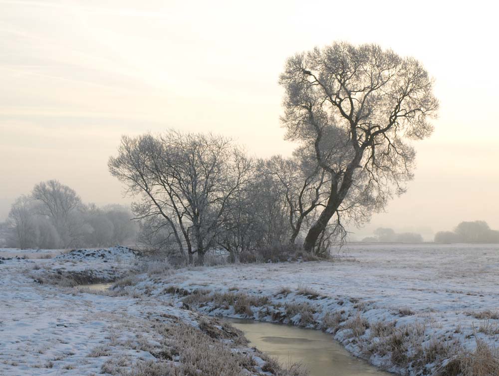 Wintermorgen an der Schwalm