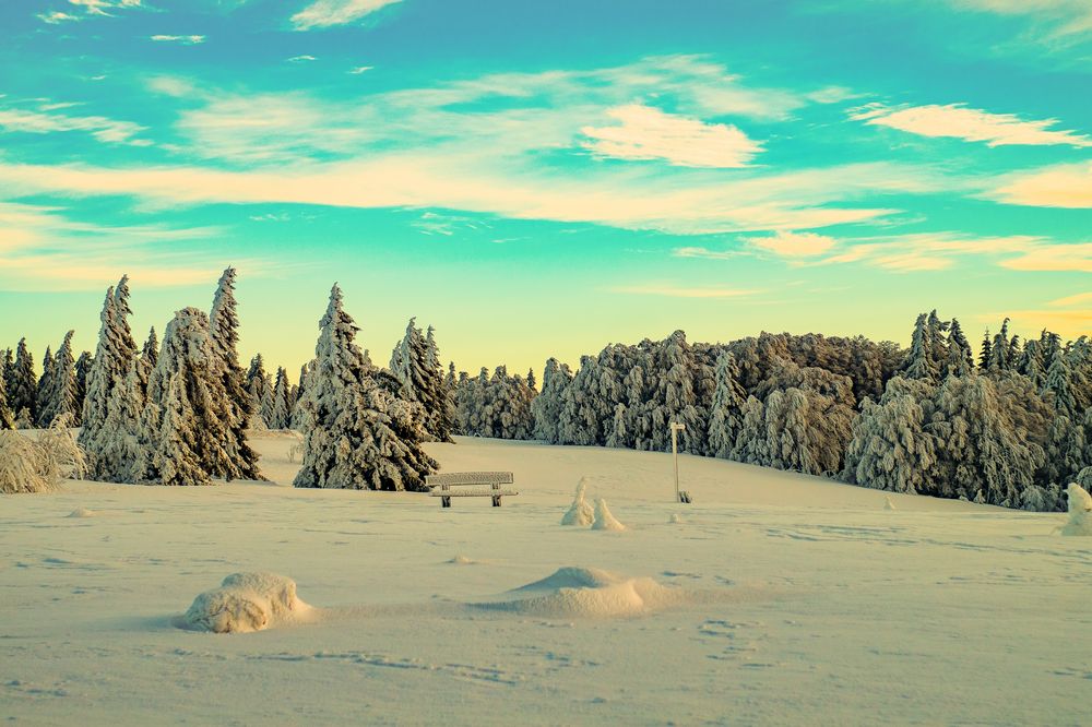 Wintermorgen auf dem Kandel