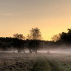 Wintermorgen auf den Heuwiesen