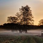 Wintermorgen auf den Heuwiesen 2