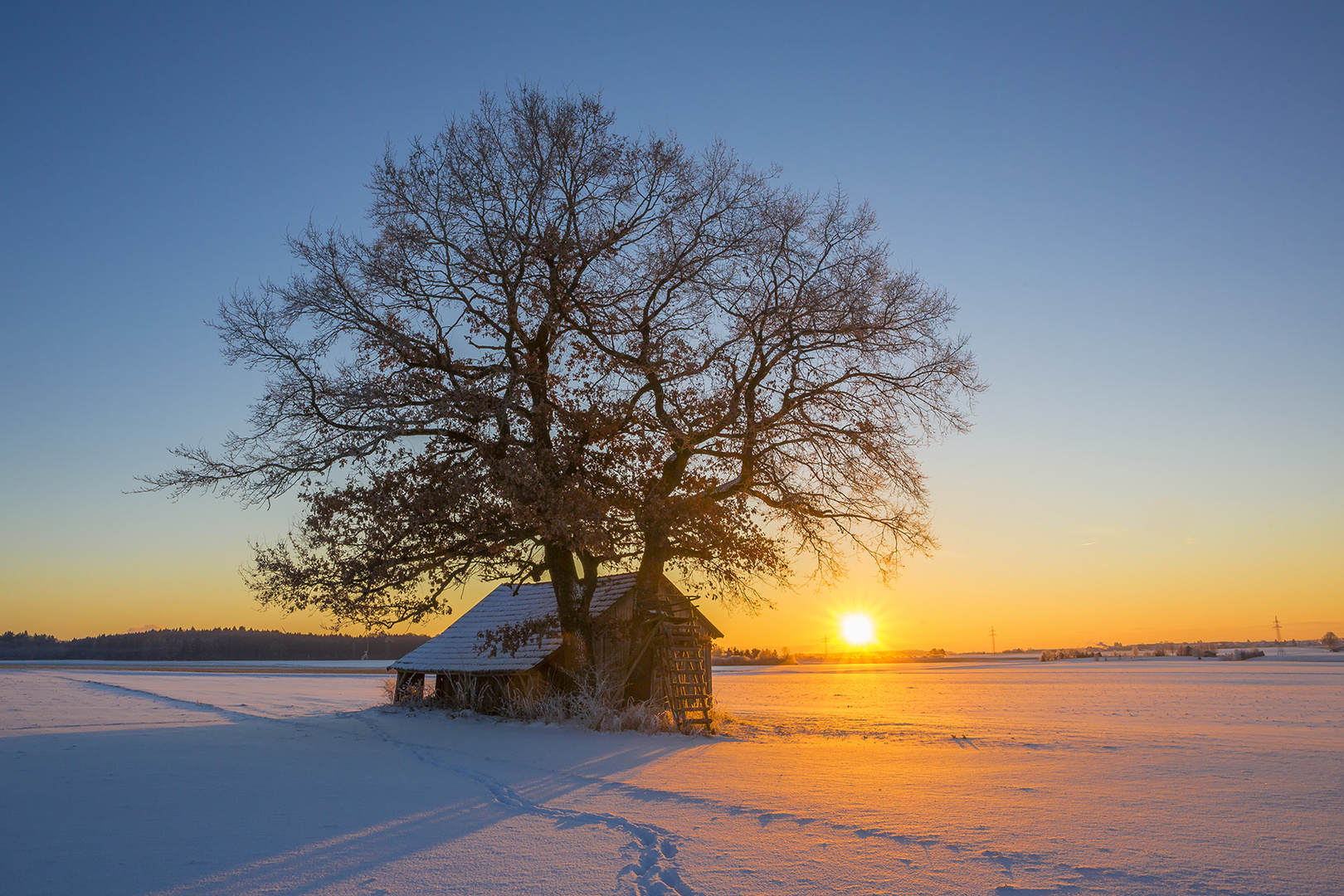 Wintermorgen auf der Alb