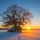 Wintermorgen auf der Alb