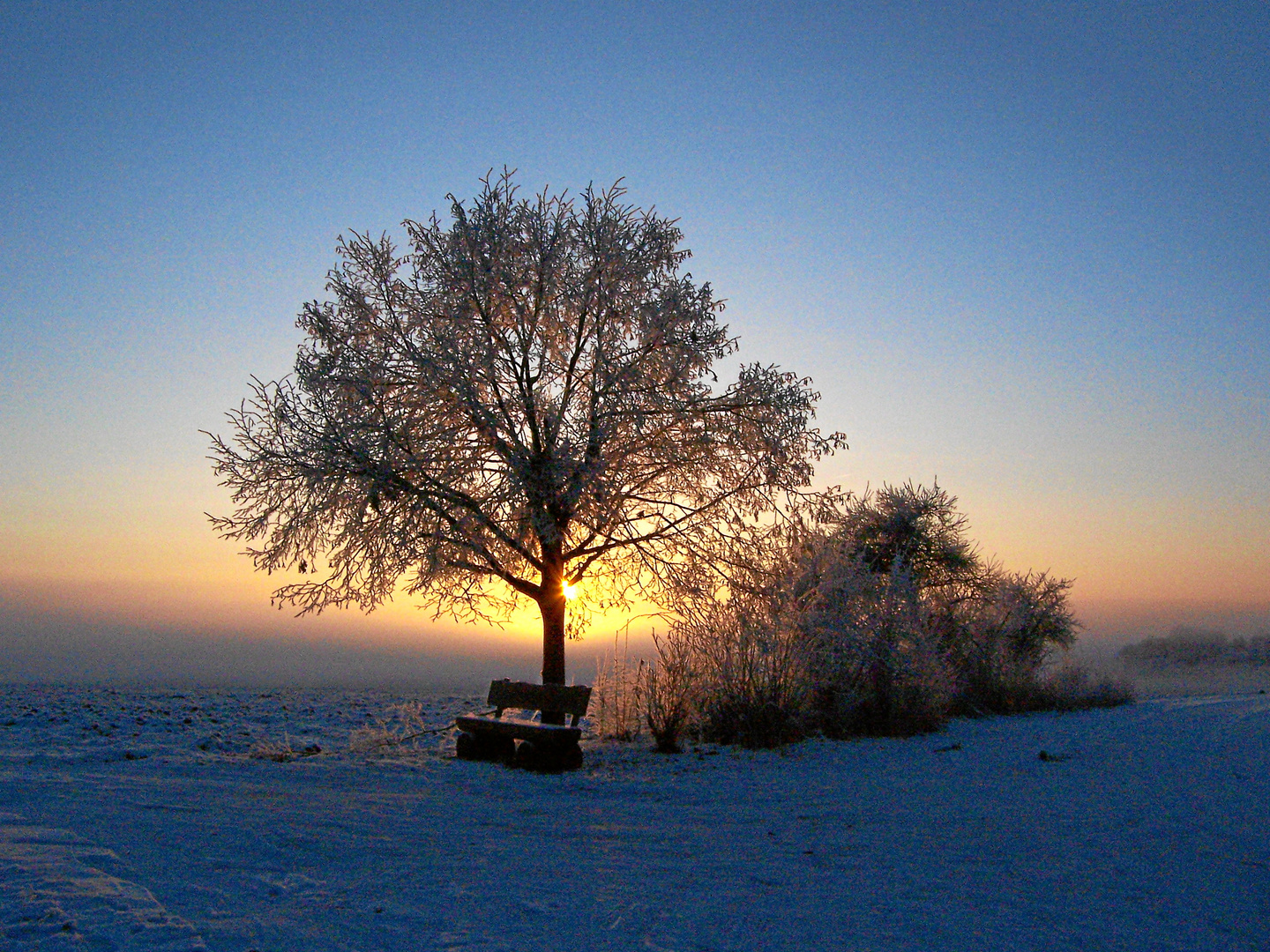 Wintermorgen auf der Baar bei Donaueschingen