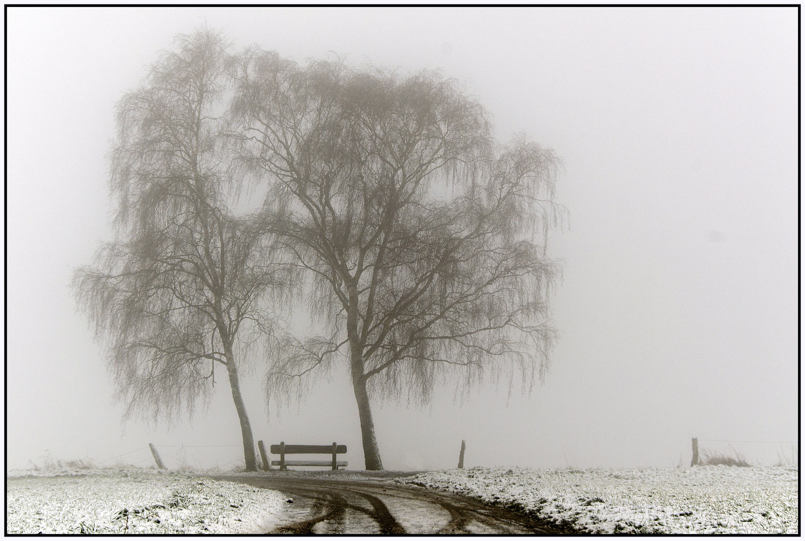 Wintermorgen auf der Haar