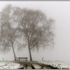 Wintermorgen auf der Haar