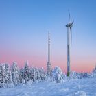 Wintermorgen auf der Hornisgrinde