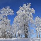 Wintermorgen auf der Schwäbischen Alb