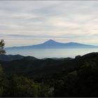 Wintermorgen auf La Gomera