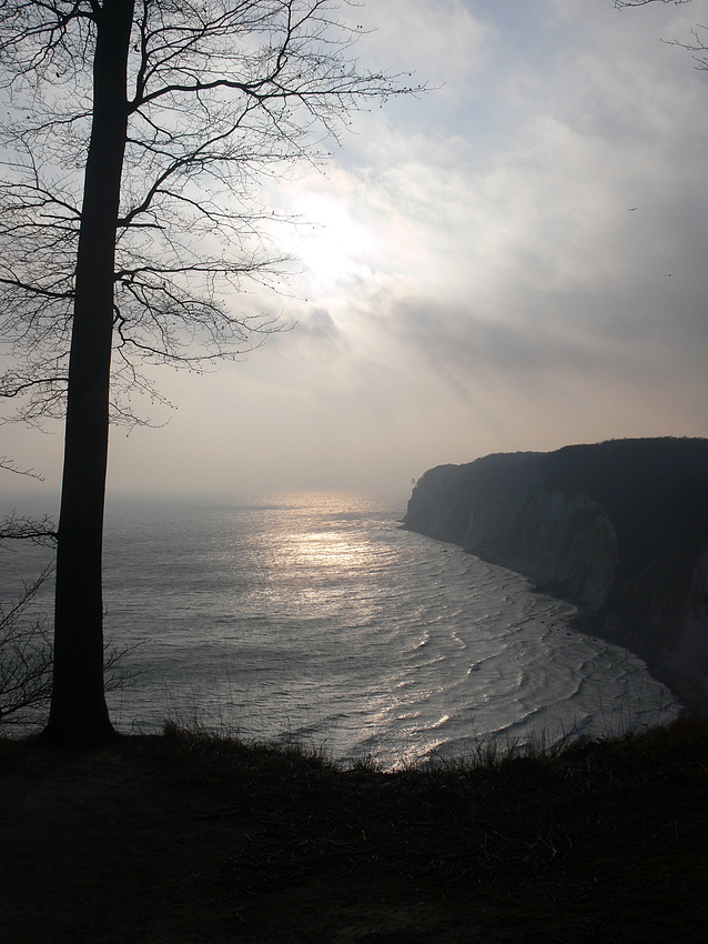 Wintermorgen auf Rügen von Uwe Einig 