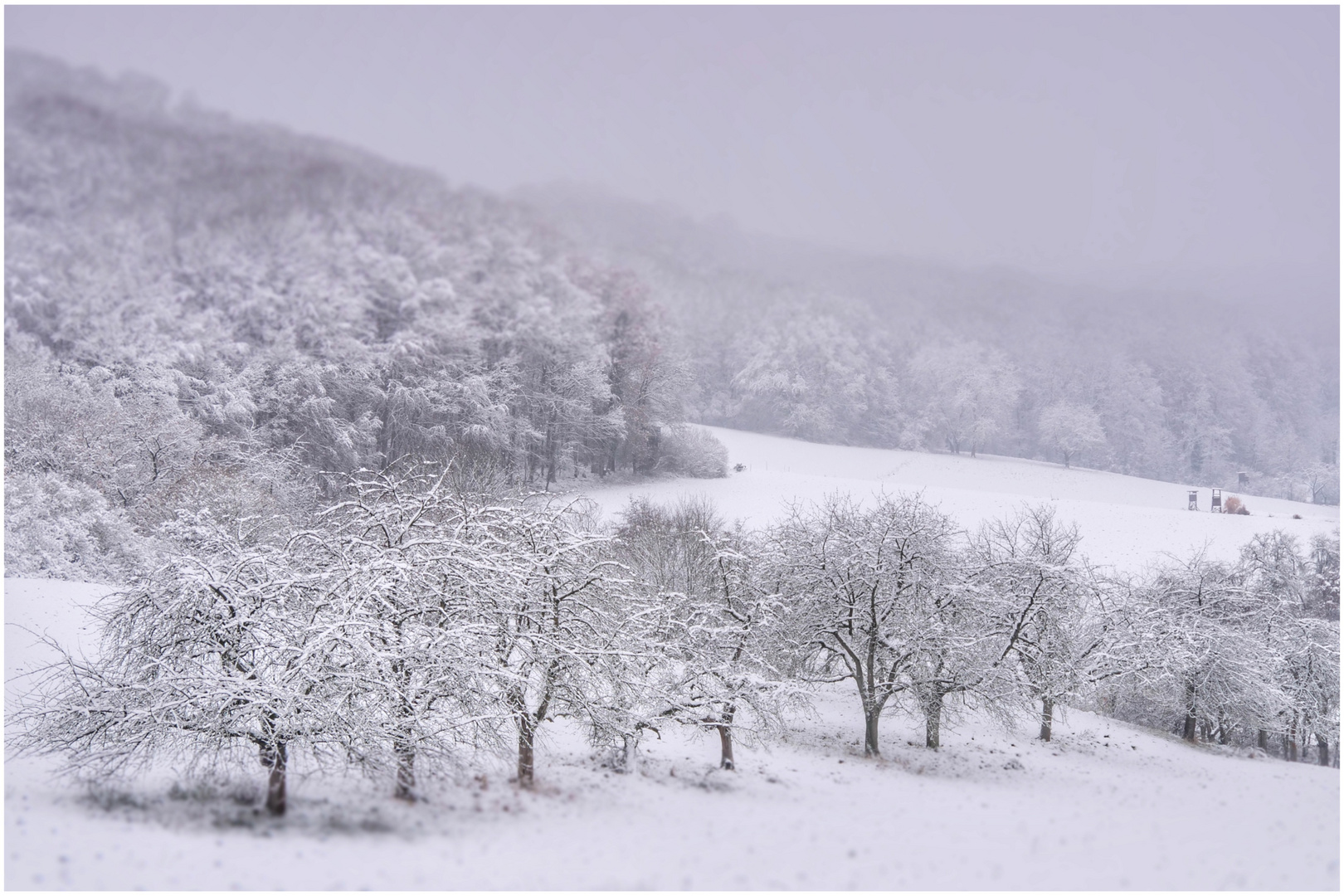 Wintermorgen