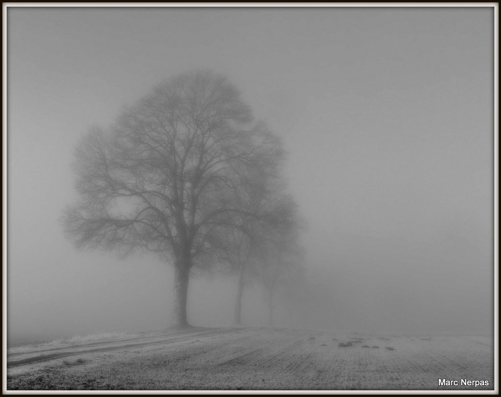 Wintermorgen