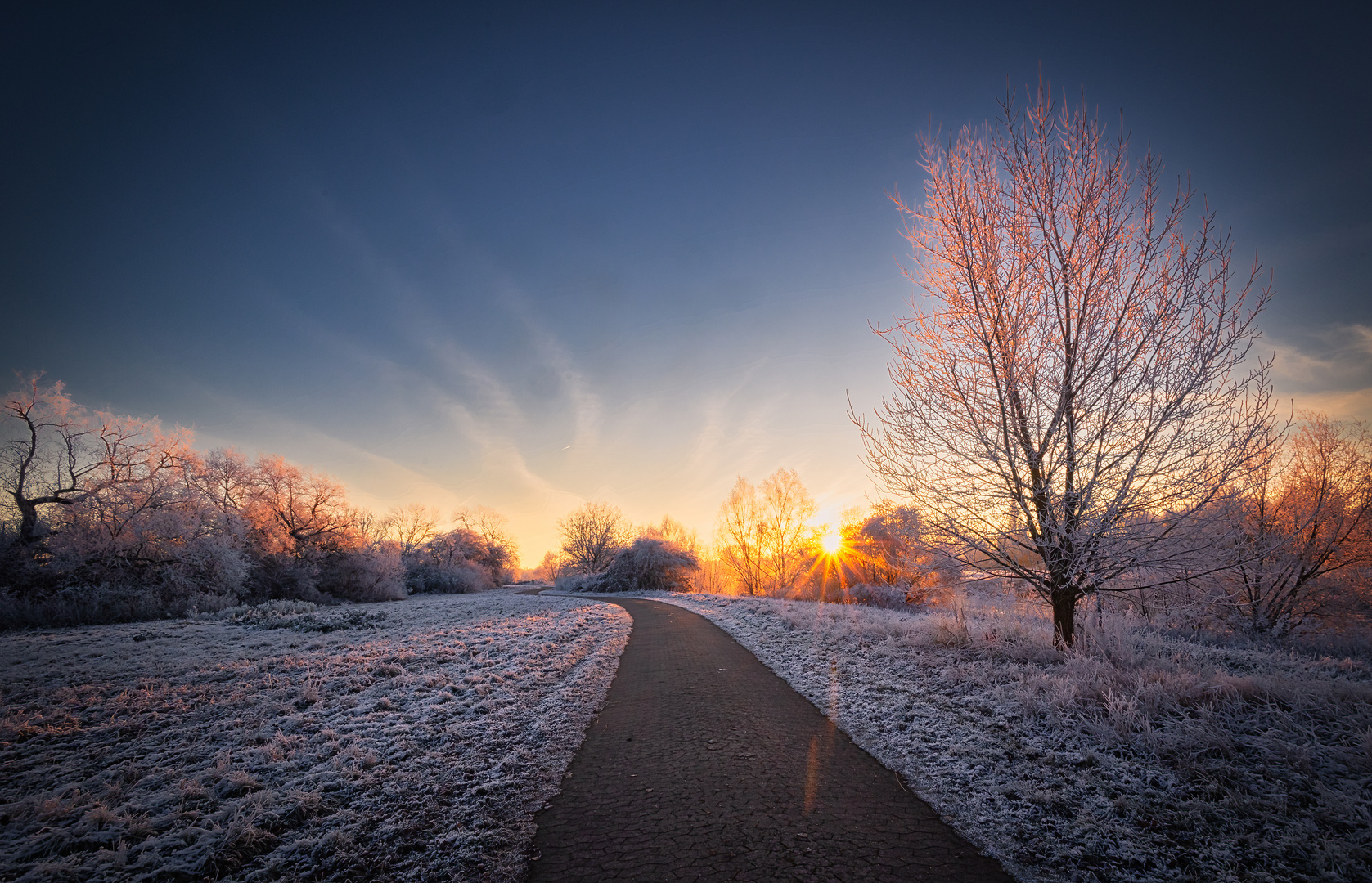 Wintermorgen