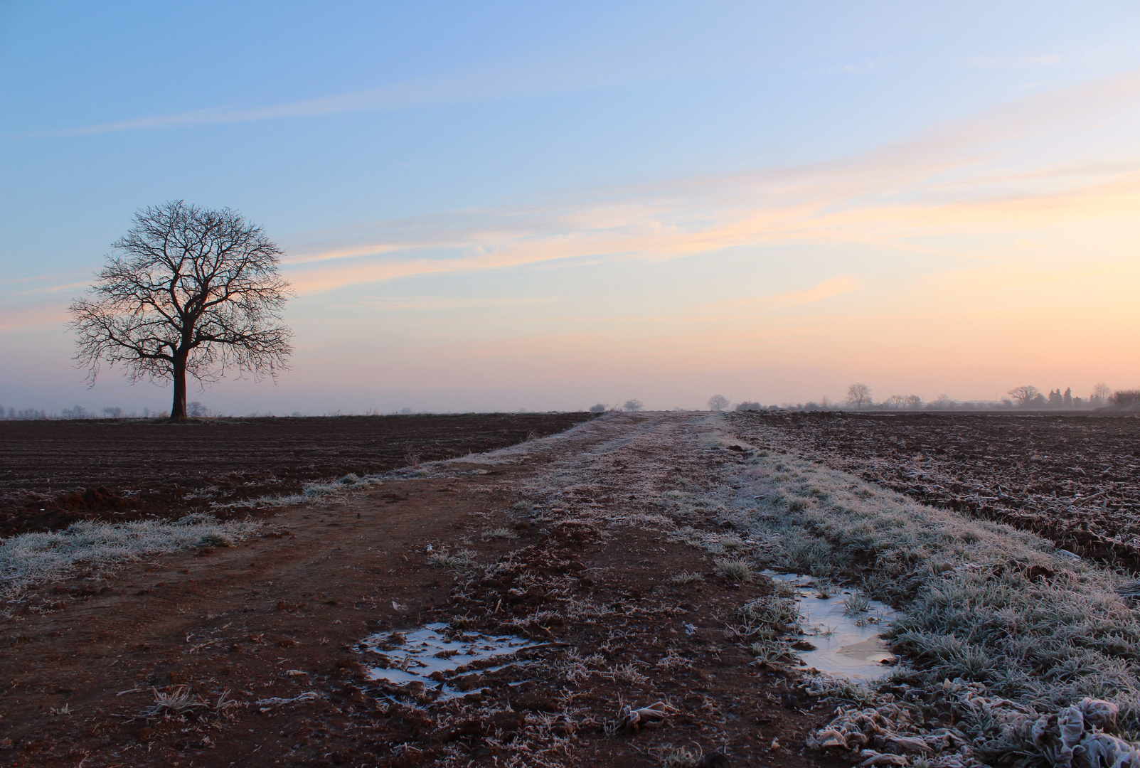 Wintermorgen