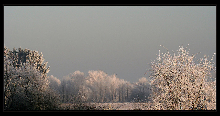 Wintermorgen