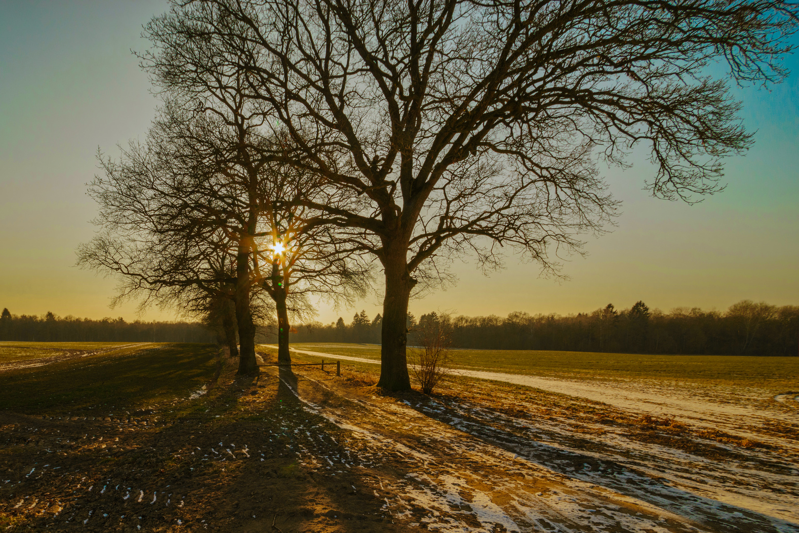 Wintermorgen