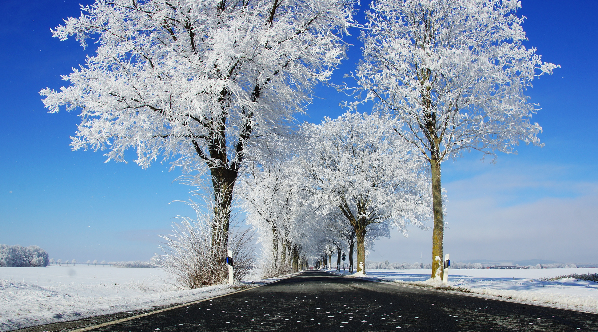 Wintermorgen bei -14° C