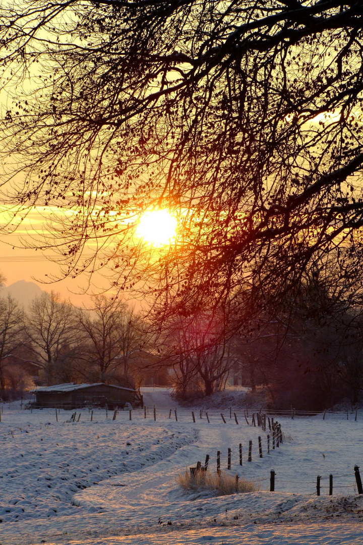 Wintermorgen bei -15°C