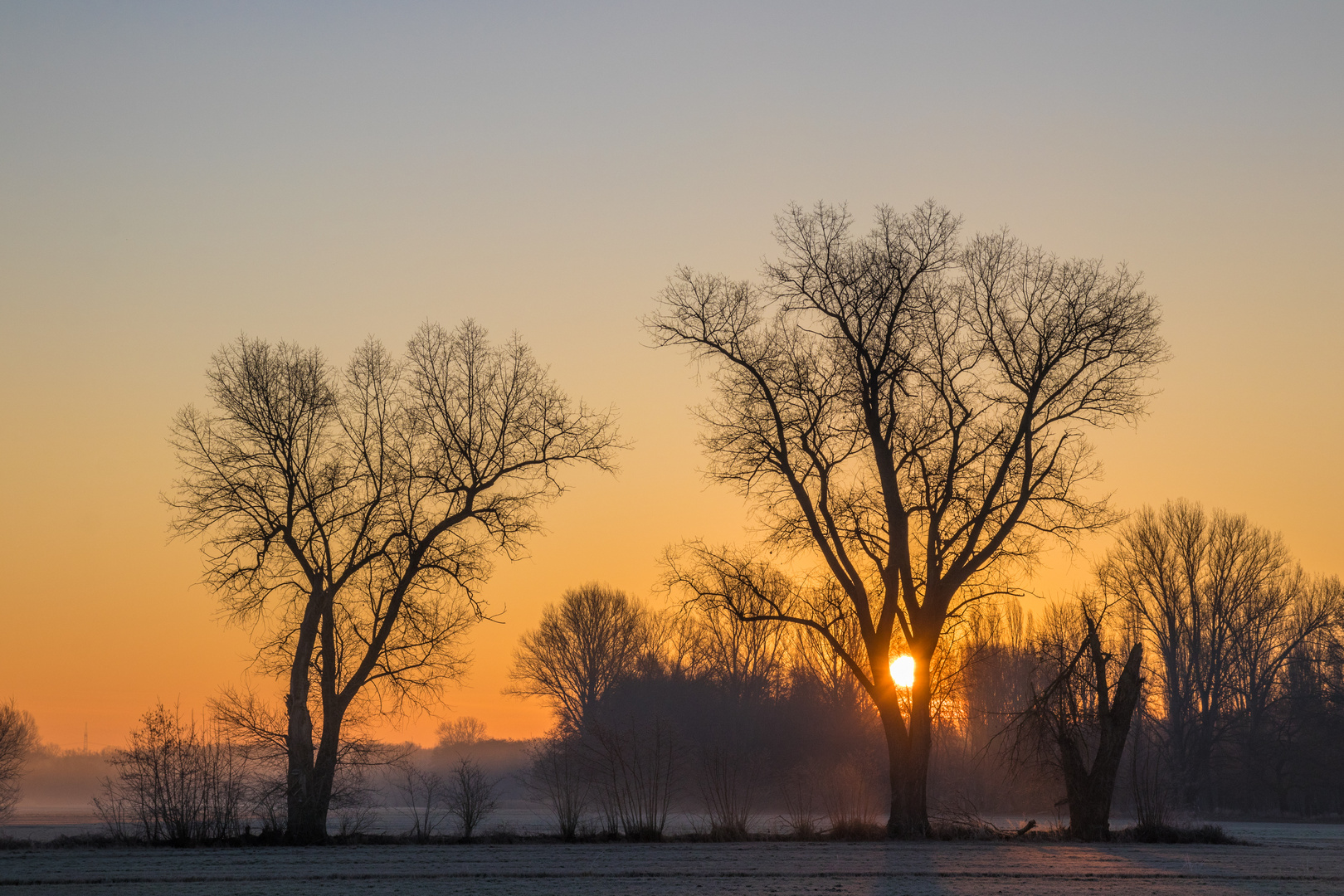 Wintermorgen bei Geinsheim