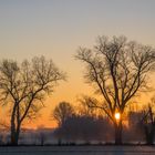 Wintermorgen bei Geinsheim