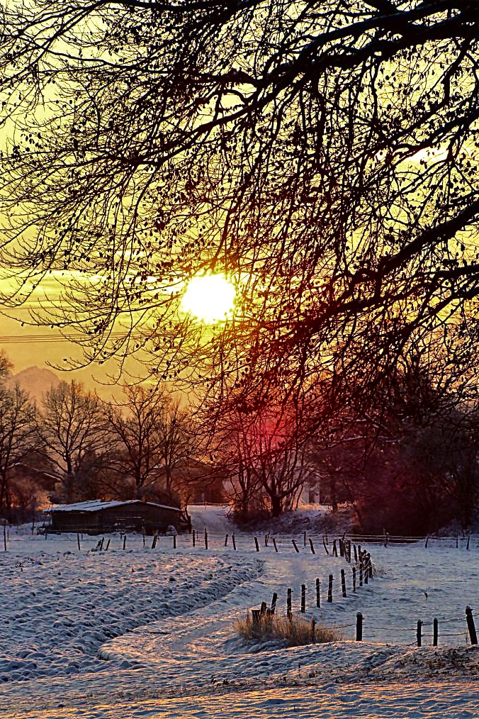 Wintermorgen bei minus 15°C