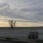 Wintermorgen bei Weimar