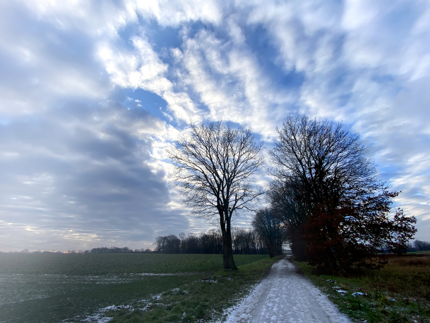 Wintermorgen bei Wendhausen