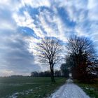 Wintermorgen bei Wendhausen