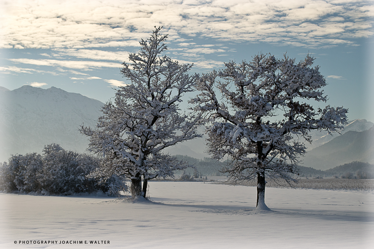 Wintermorgen