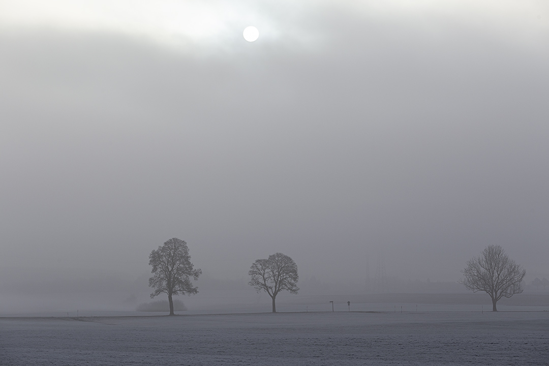 Wintermorgen