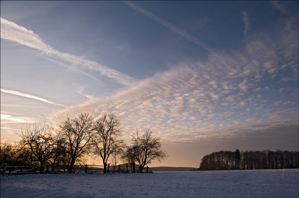 Wintermorgen