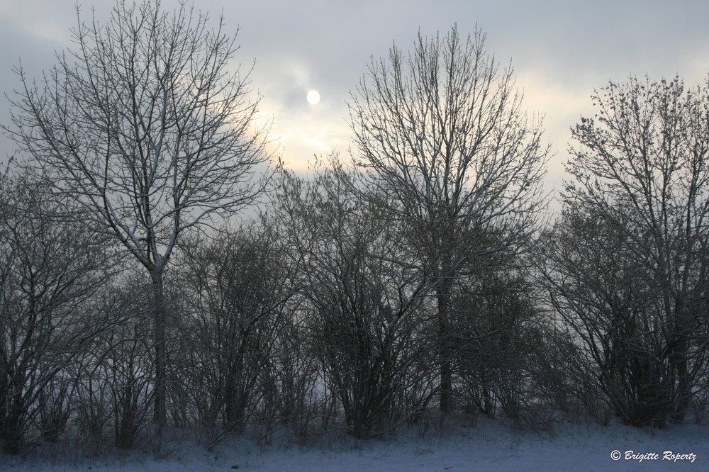 Wintermorgen