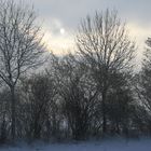 Wintermorgen