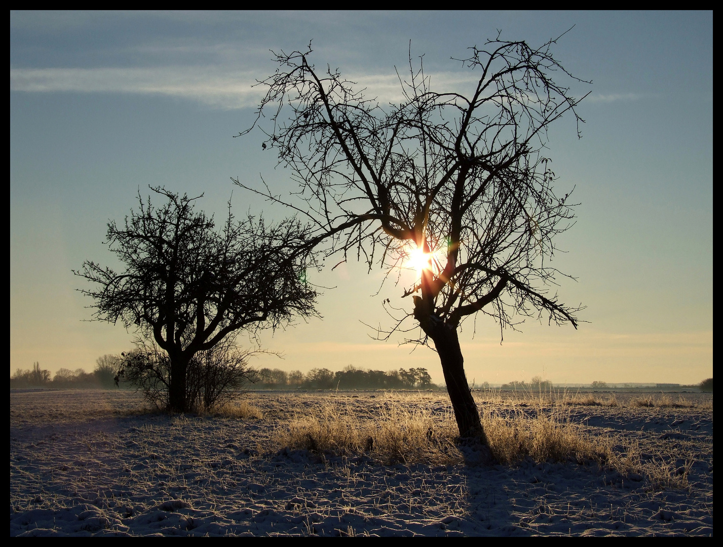 Wintermorgen