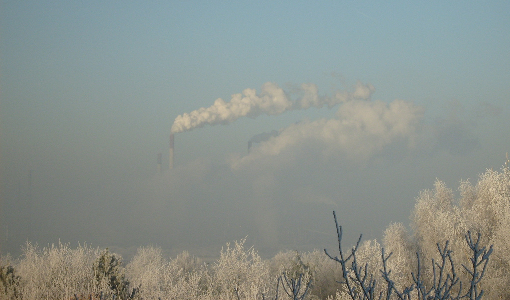 Wintermorgen