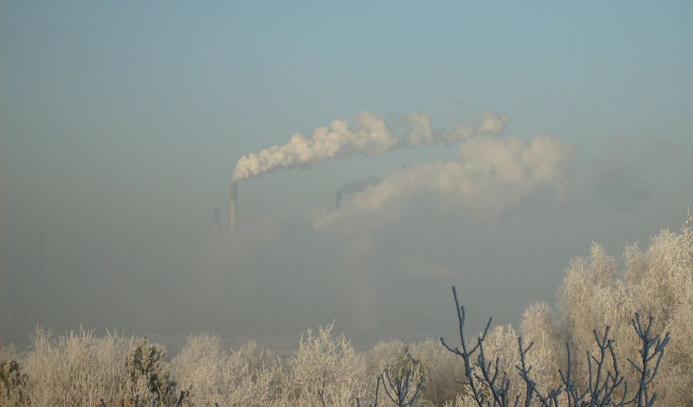 Wintermorgen von Bastian Trojahn 