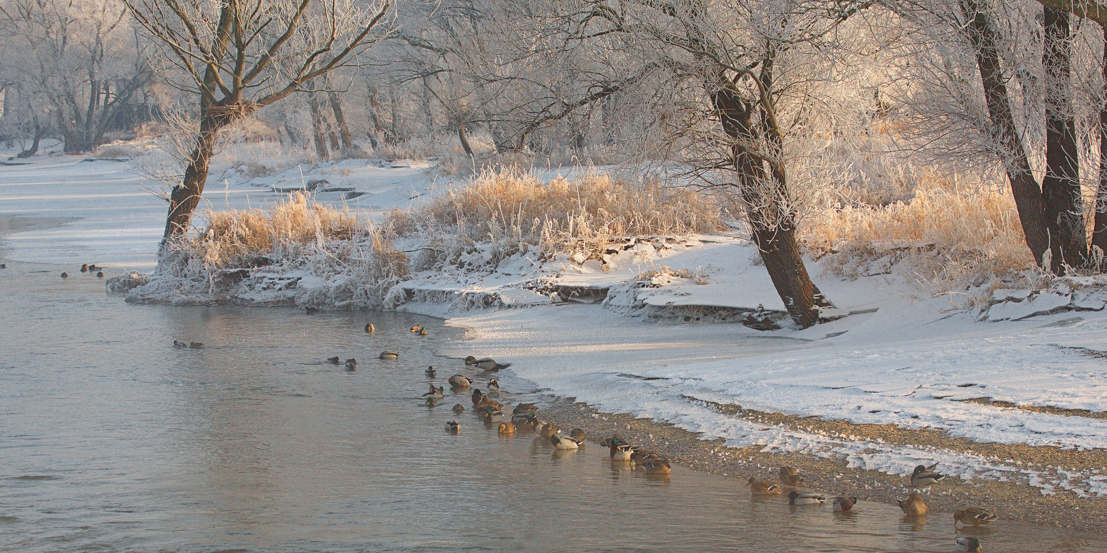 Wintermorgen