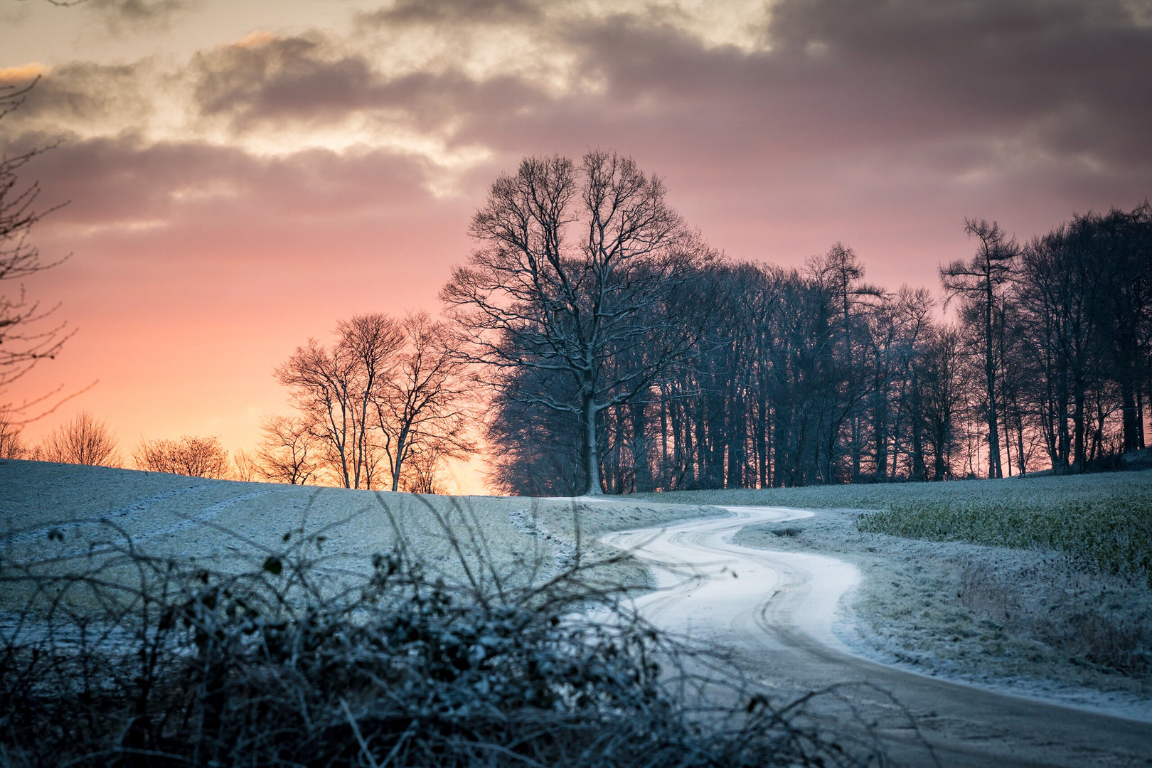 Wintermorgen