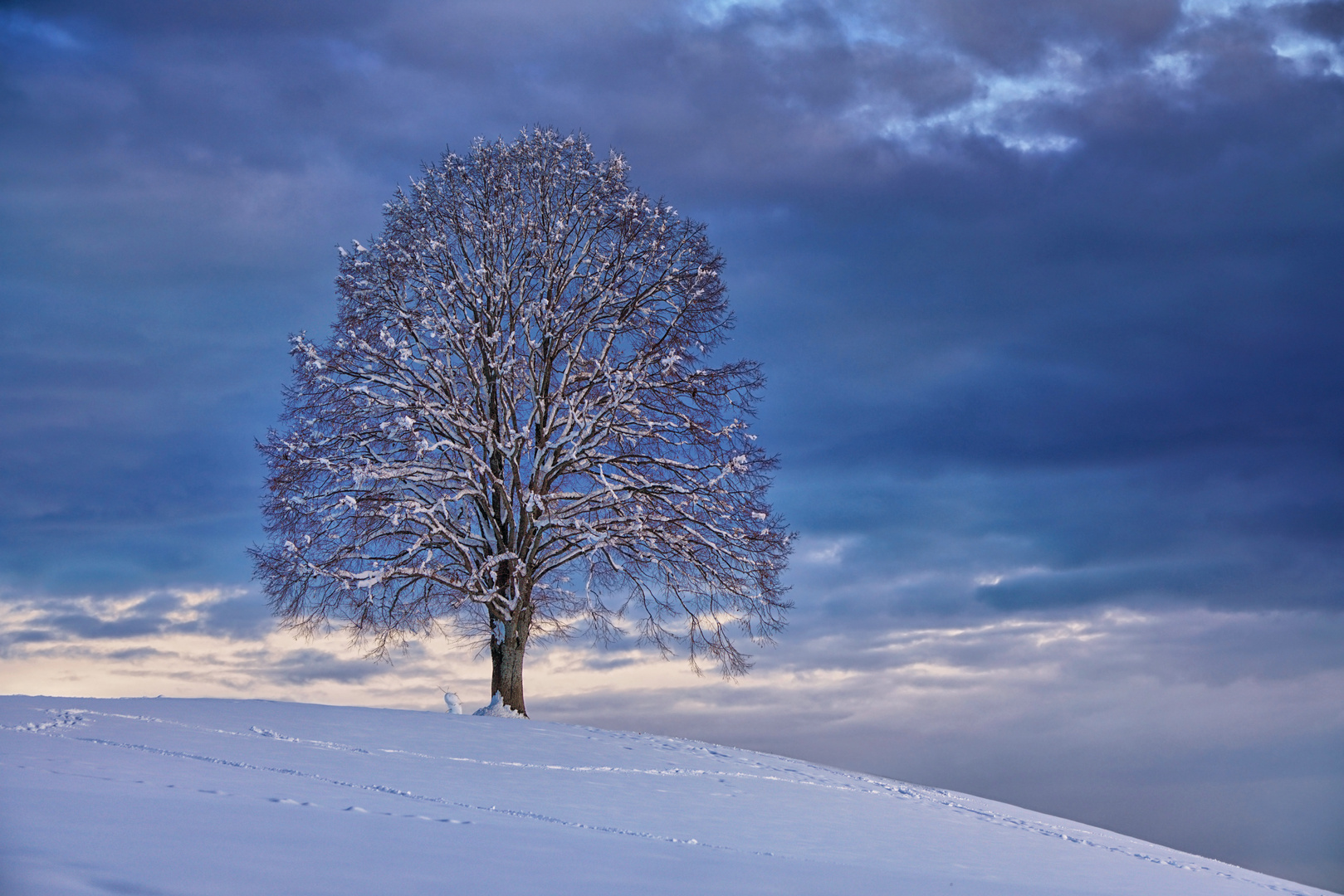 Wintermorgen