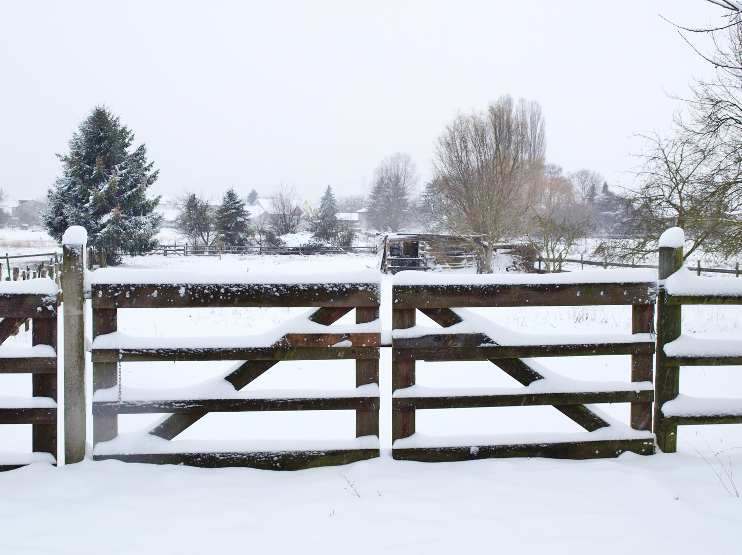 Wintermorgen