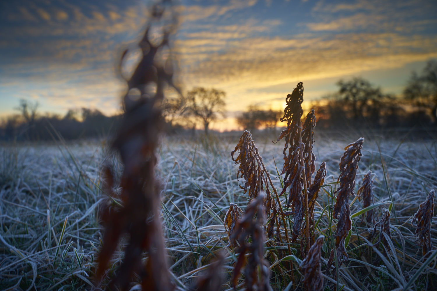 Wintermorgen